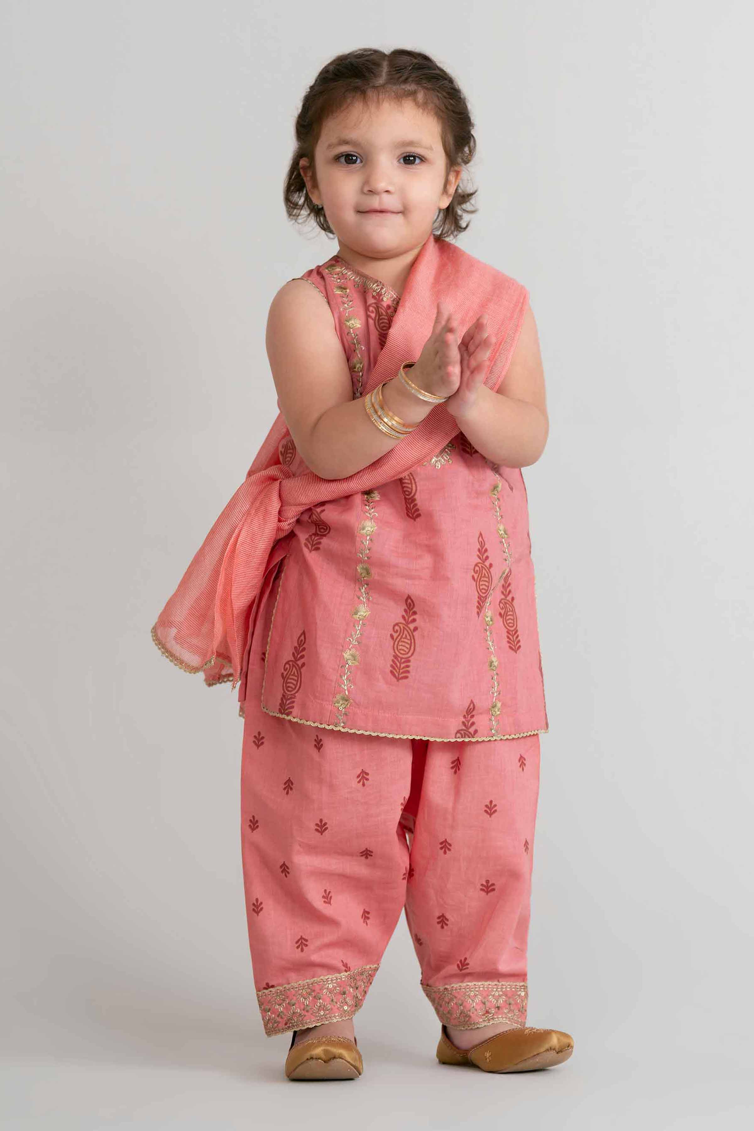 3 Piece - Printed Embroidered Suit - PMD26-42 D